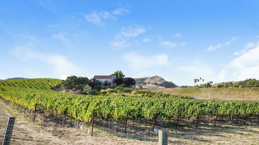 Napa_diRosaArtNaturePreserve_553248621533113796_03