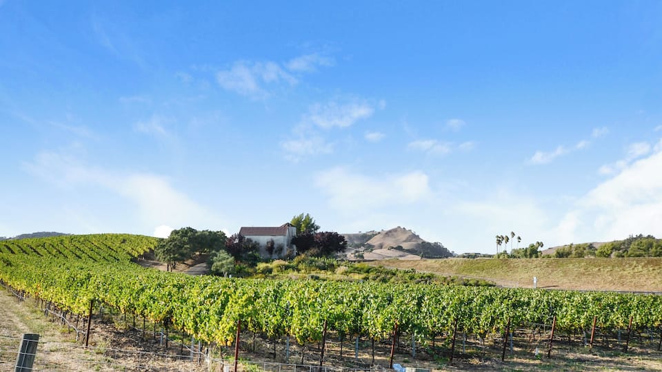 Napa_diRosaArtNaturePreserve_553248621533113796_03