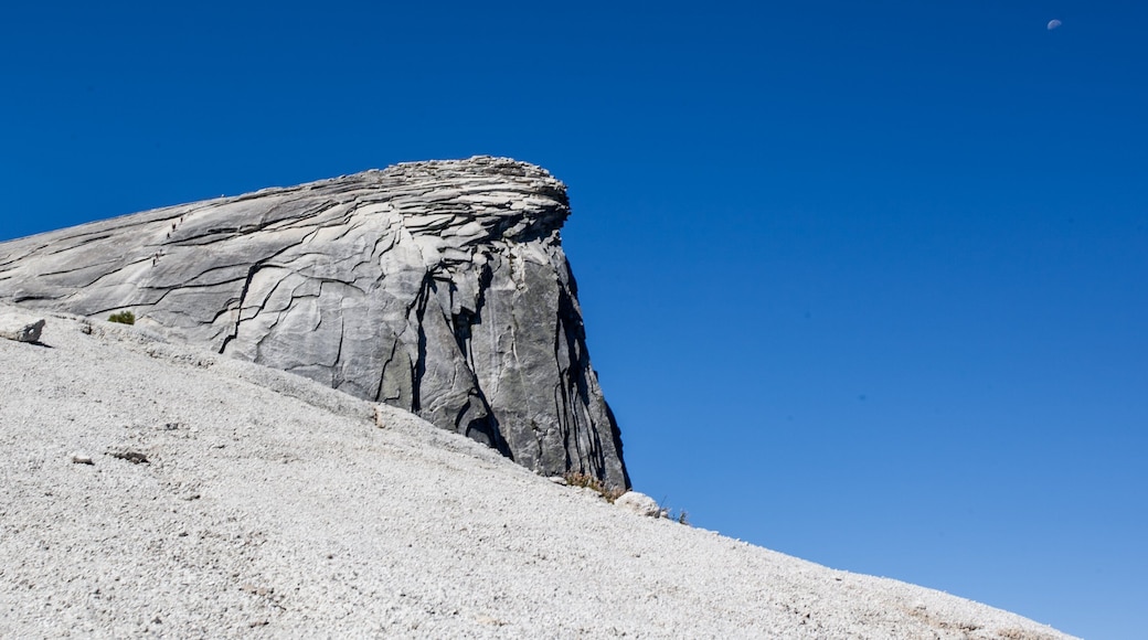 2_e0f07b52-4b9c-4c4a-801a-f6b053d7451b_raw