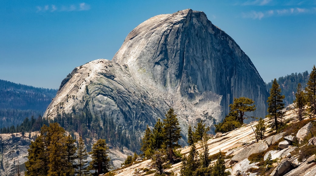 Half Dome from Olmsted Point