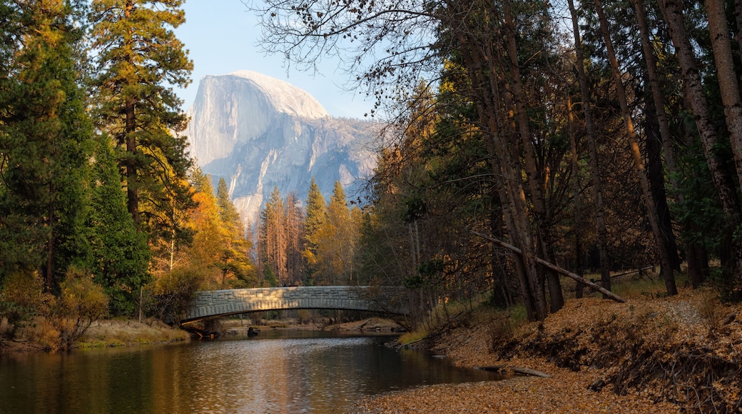 Beautiful American Landscape in Yosemite National Park, California, United States.