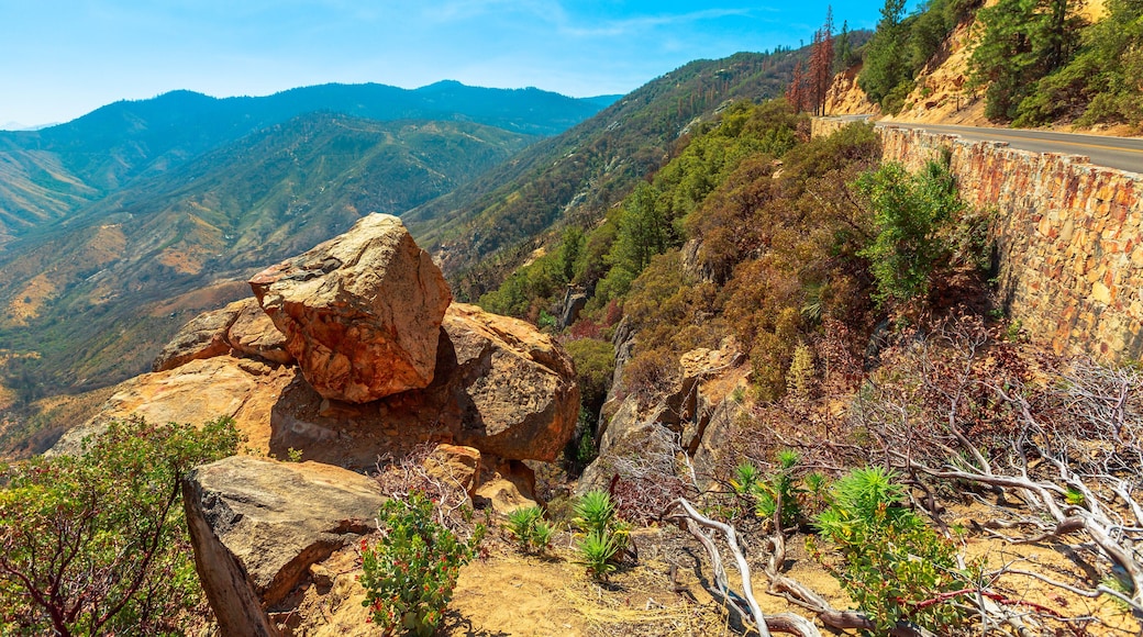 시더 그로브 빌리지