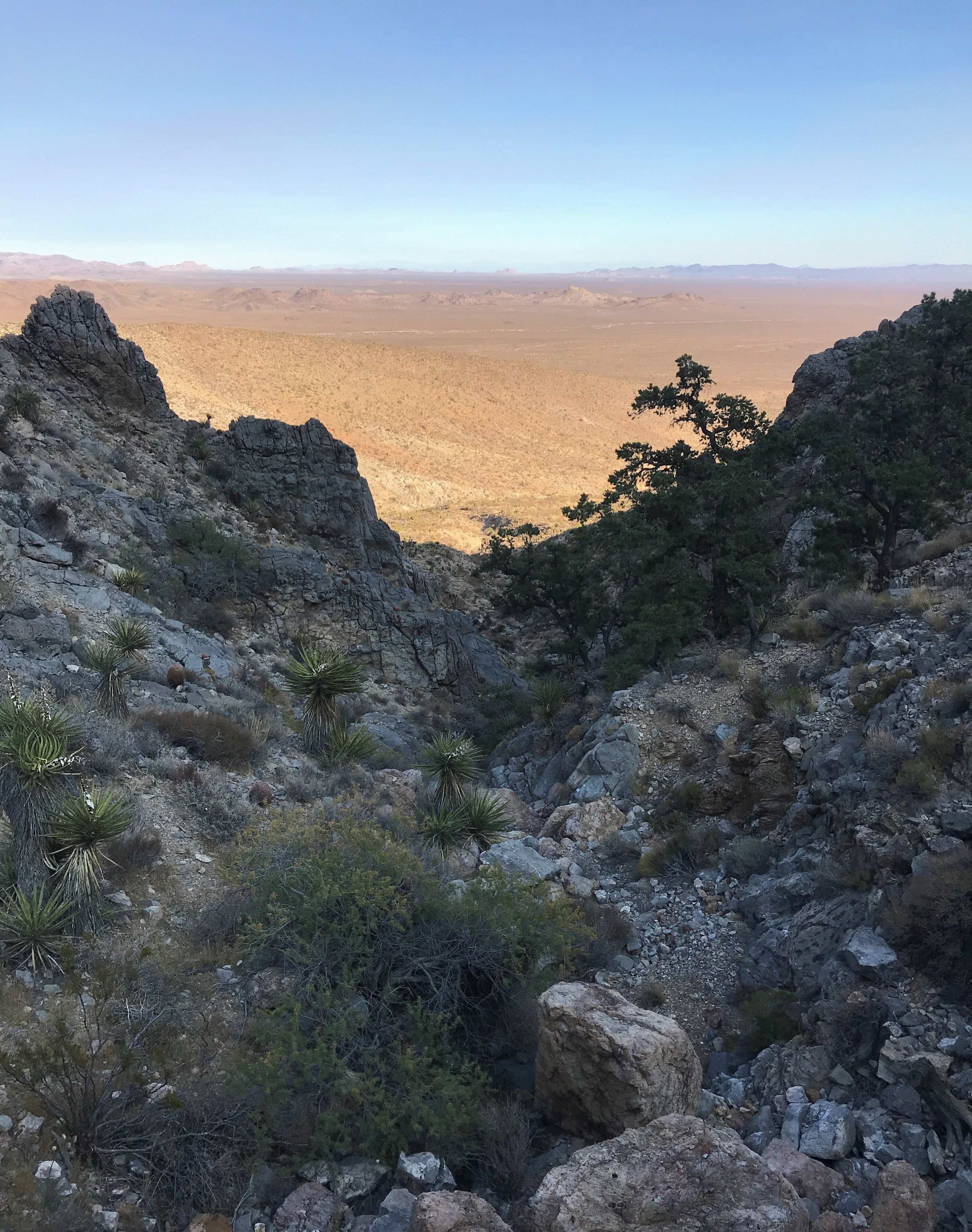 Beautiful view on the hike to the Mitchell Caverns off Highway 40