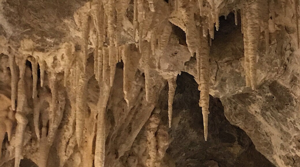 Fabulous tour of the Mitchell Caverns. Be sure to make a reservation as they only take 15 people per tour. 2 tours a day on Friday-Sunday. Very interesting.