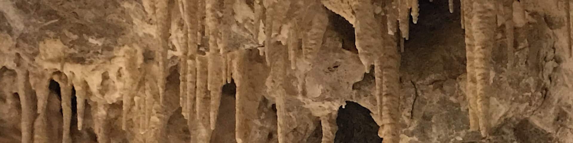Fabulous tour of the Mitchell Caverns. Be sure to make a reservation as they only take 15 people per tour. 2 tours a day on Friday-Sunday. Very interesting.