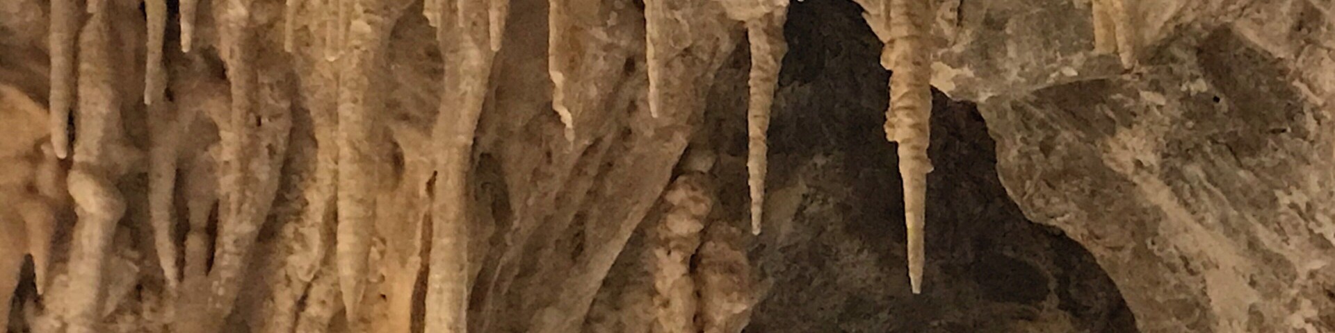Fabulous tour of the Mitchell Caverns. Be sure to make a reservation as they only take 15 people per tour. 2 tours a day on Friday-Sunday. Very interesting.