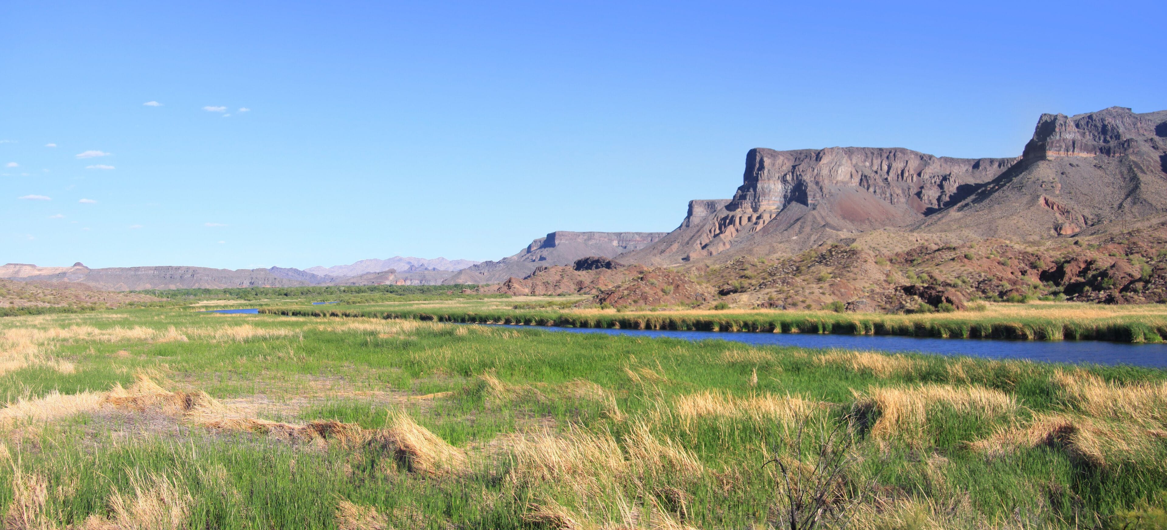 Bill Williams river landscape