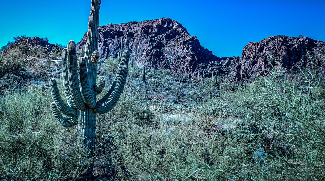 バルチャー鉱山