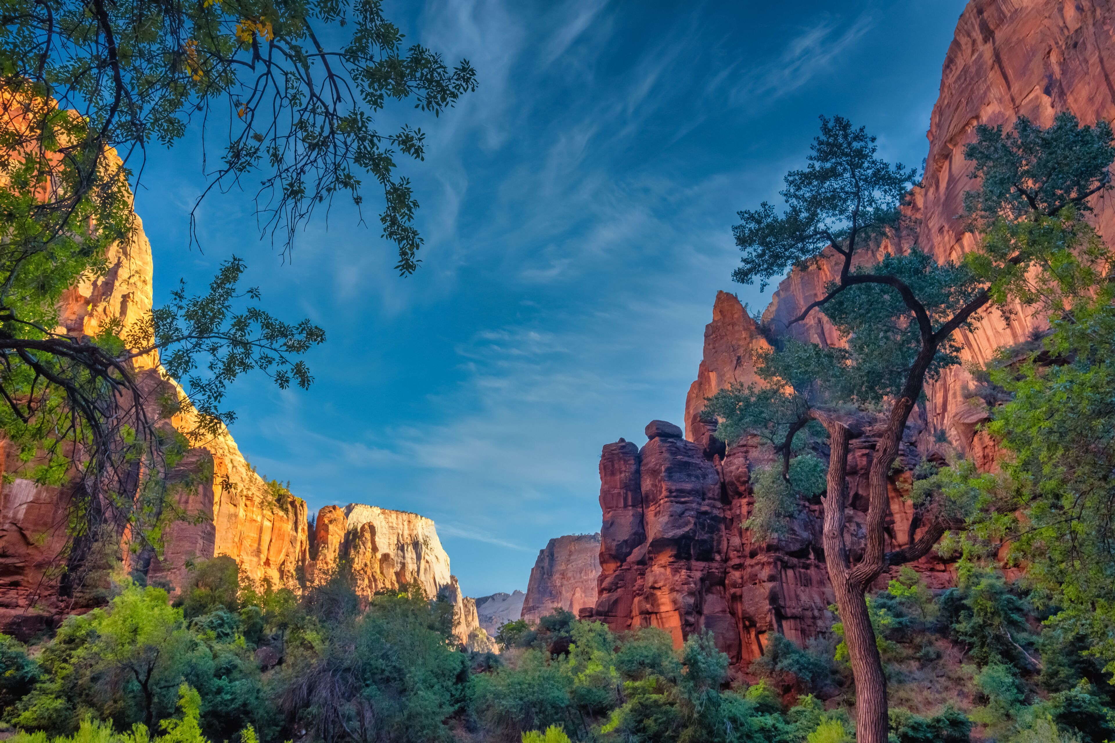 The stunning red cliffs of the Amphitheater, Zion National Park, Springdale, Utah, USA