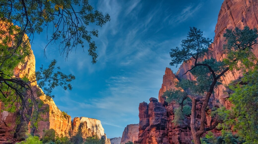 Zion Canyon Scenic Dr