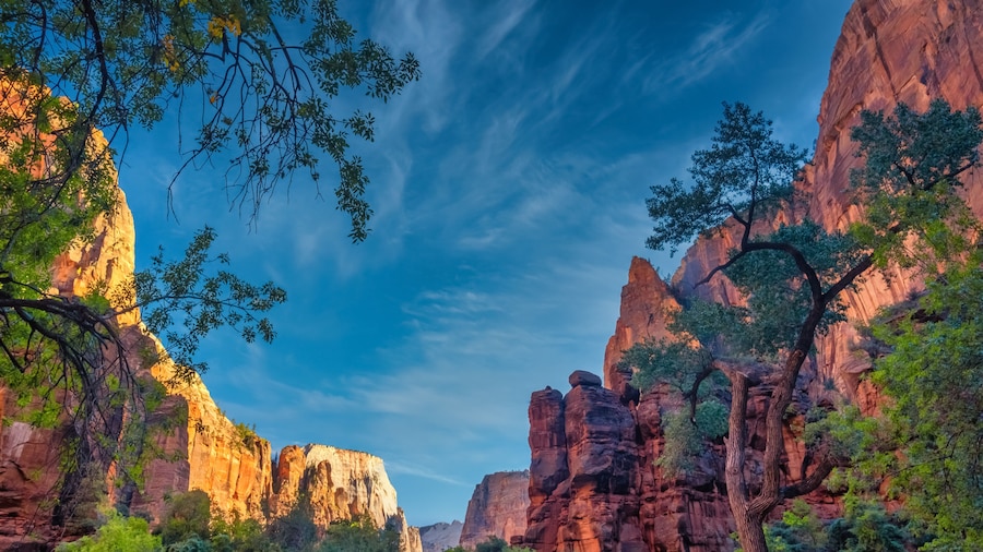 The stunning red cliffs of the Amphitheater, Zion National Park, Springdale, Utah, USA