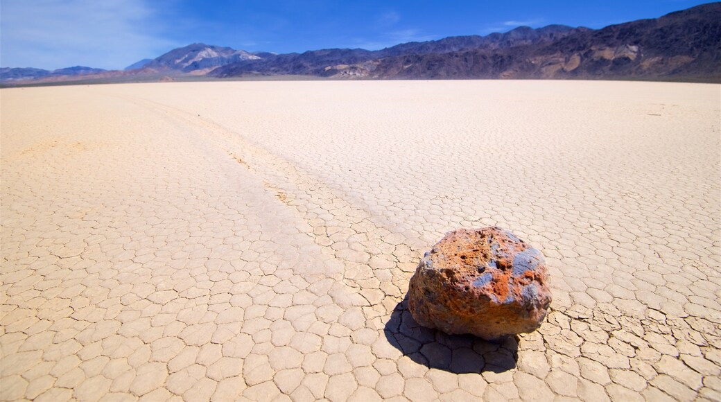 Racetrack Playa featuring desert views and tranquil scenes