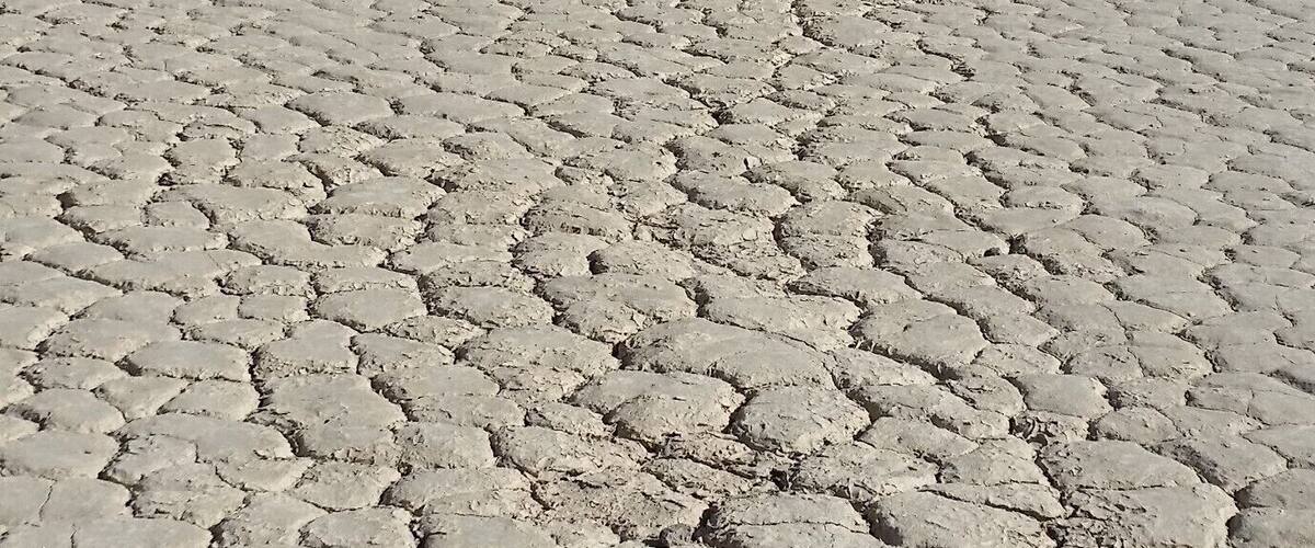 Racetrack Playa in Death Valley National Park features mysterious moving rocks that leave tracks in the dry lakebed.
You have to take a high clearance or 4WD vehicle three hours one way from Furnace Creek to get there.
http://rvluckyorwhat.com/2015/03/02/ten-reasons-why-death-valley-is-to-die-for/
#DeathValley
#NationalPark
#RacetrackPlaya
#California
#desert
#dry
#adventures
#patterns
#outdoors
#Jeep