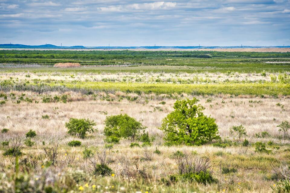 Una extensa pradera con árboles dispersos y colinas lejanas bajo un cielo nublado.