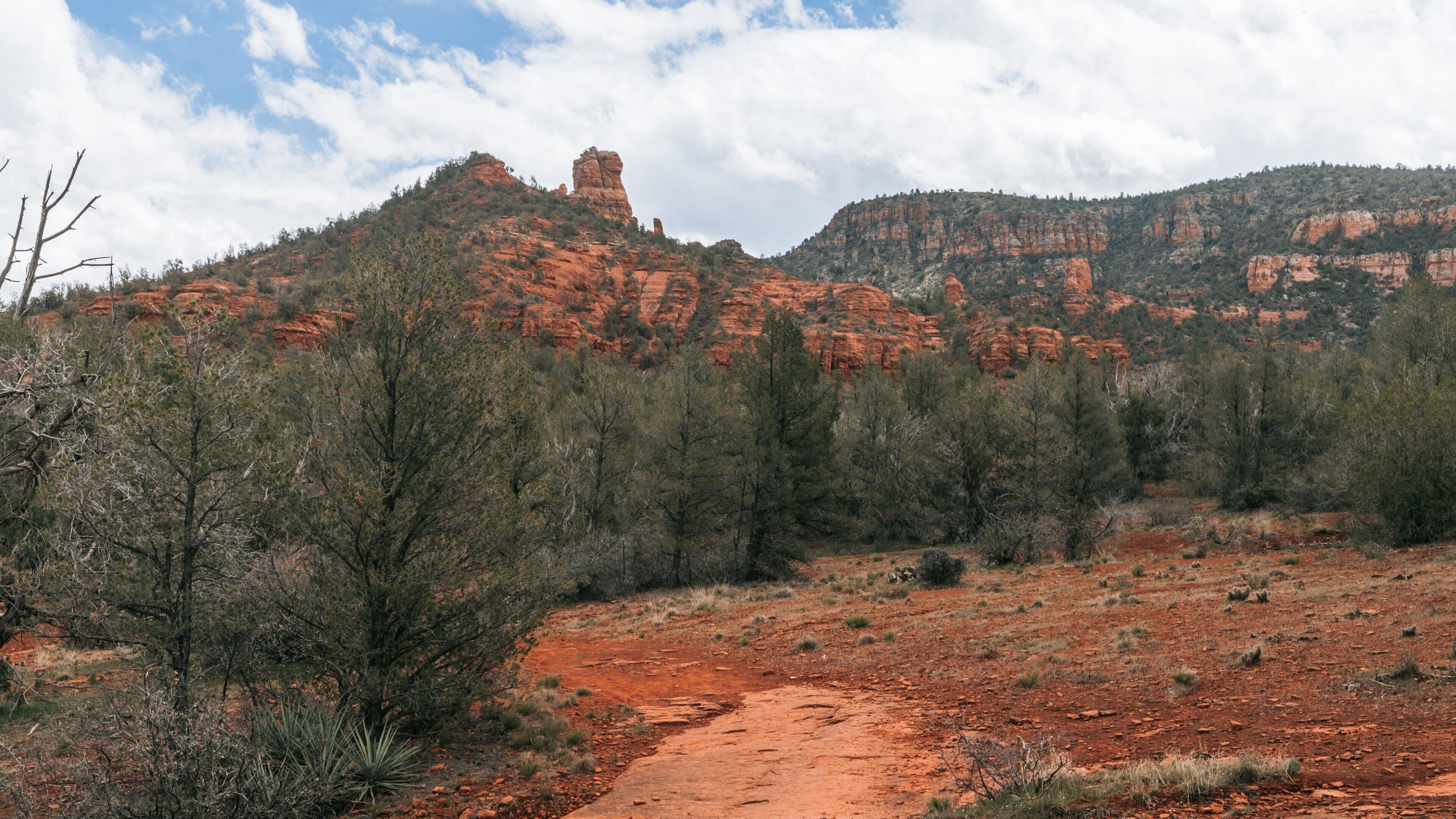 Red Rock State Park showing desert views and a gorge or canyon