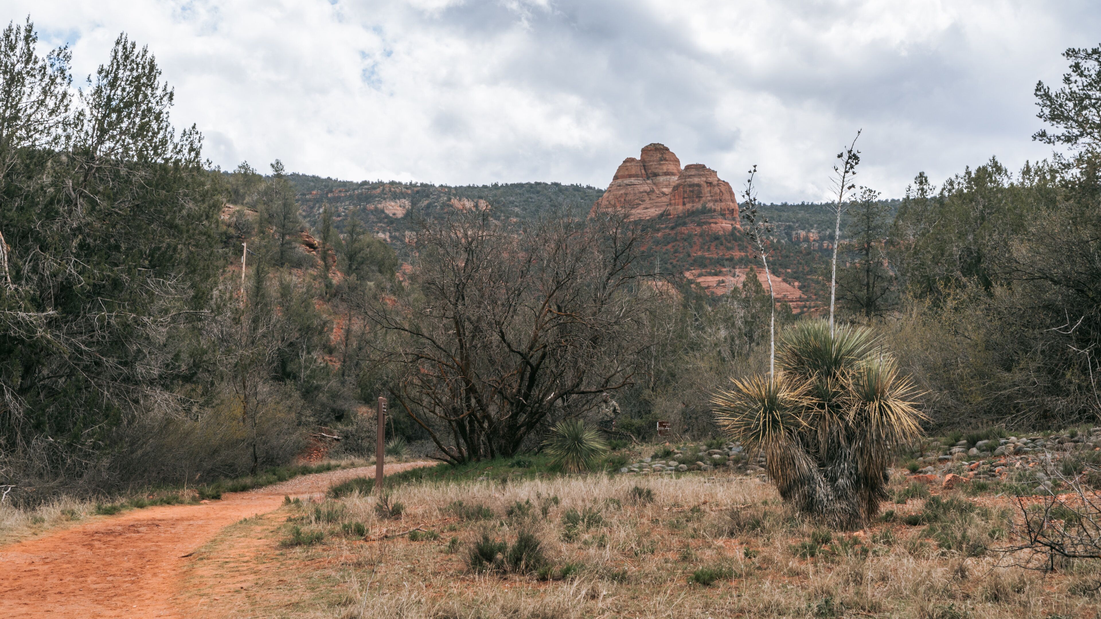 Red Rock State Park which includes desert views and a gorge or canyon