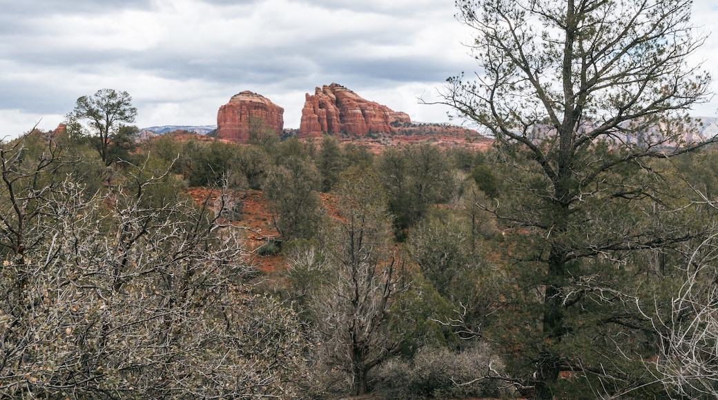 Red Rock State Park which includes desert views and a gorge or canyon