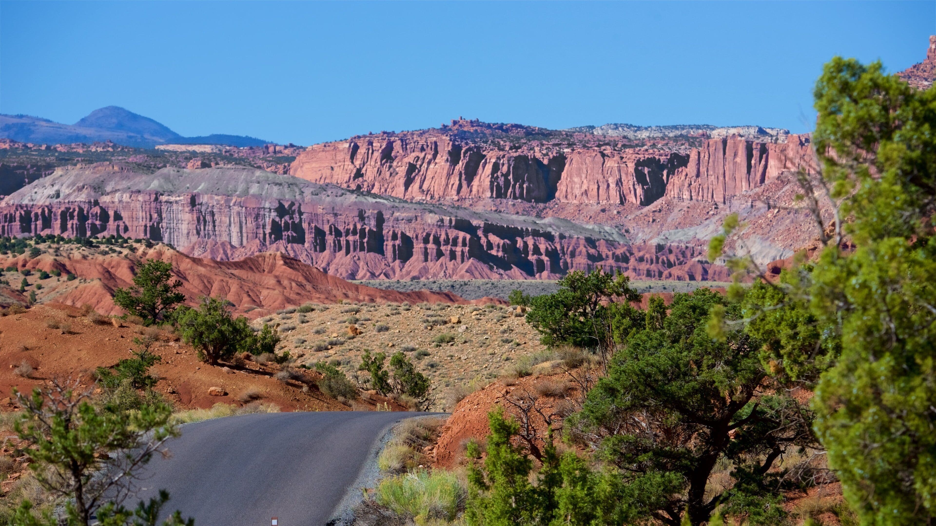 Rim Road Scenic Drive featuring desert views, a gorge or canyon and landscape views