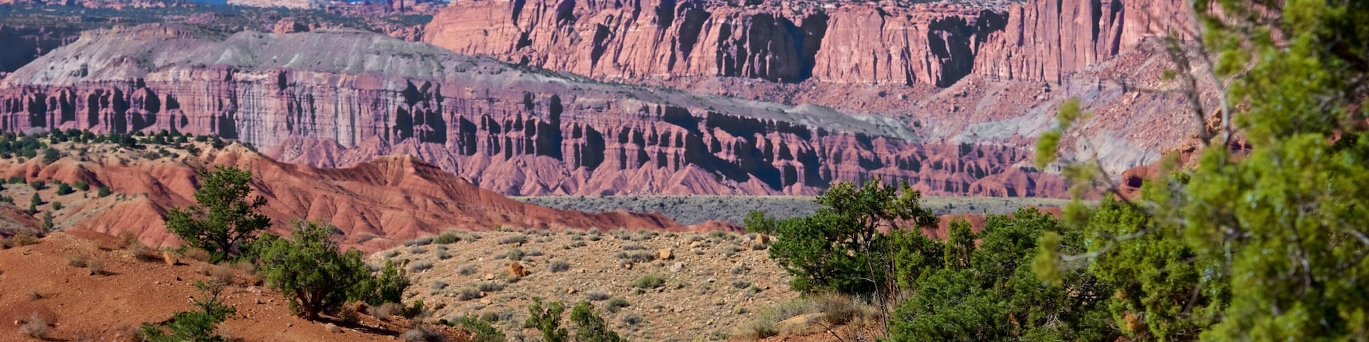 Rim Road Scenic Drive featuring desert views, a gorge or canyon and landscape views