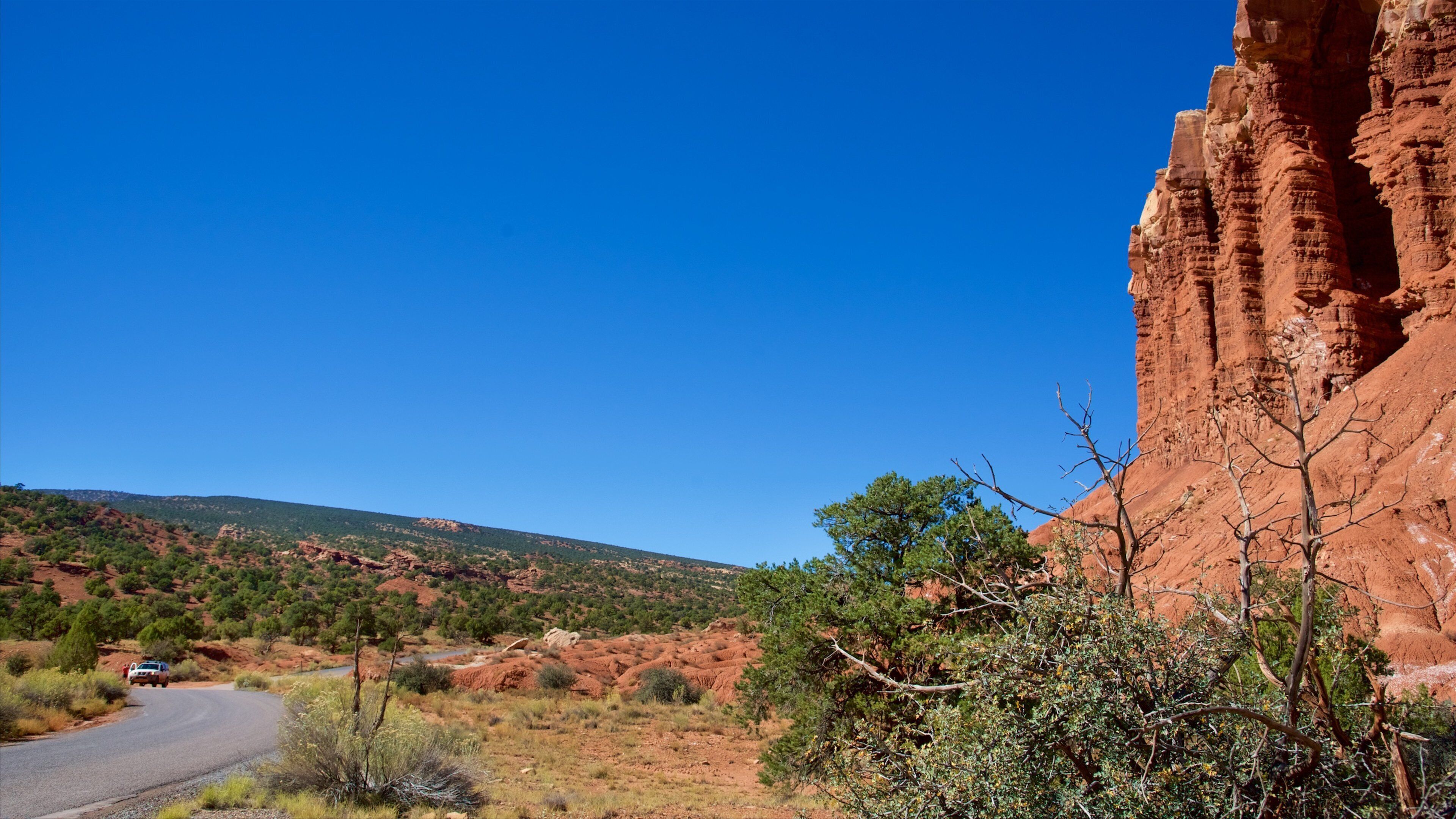 A winding road through a desert landscape with red rock formations and sparse vegetation.