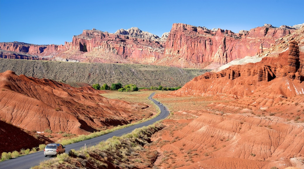 Rim Road Scenic Drive showing desert views, landscape views and a gorge or canyon