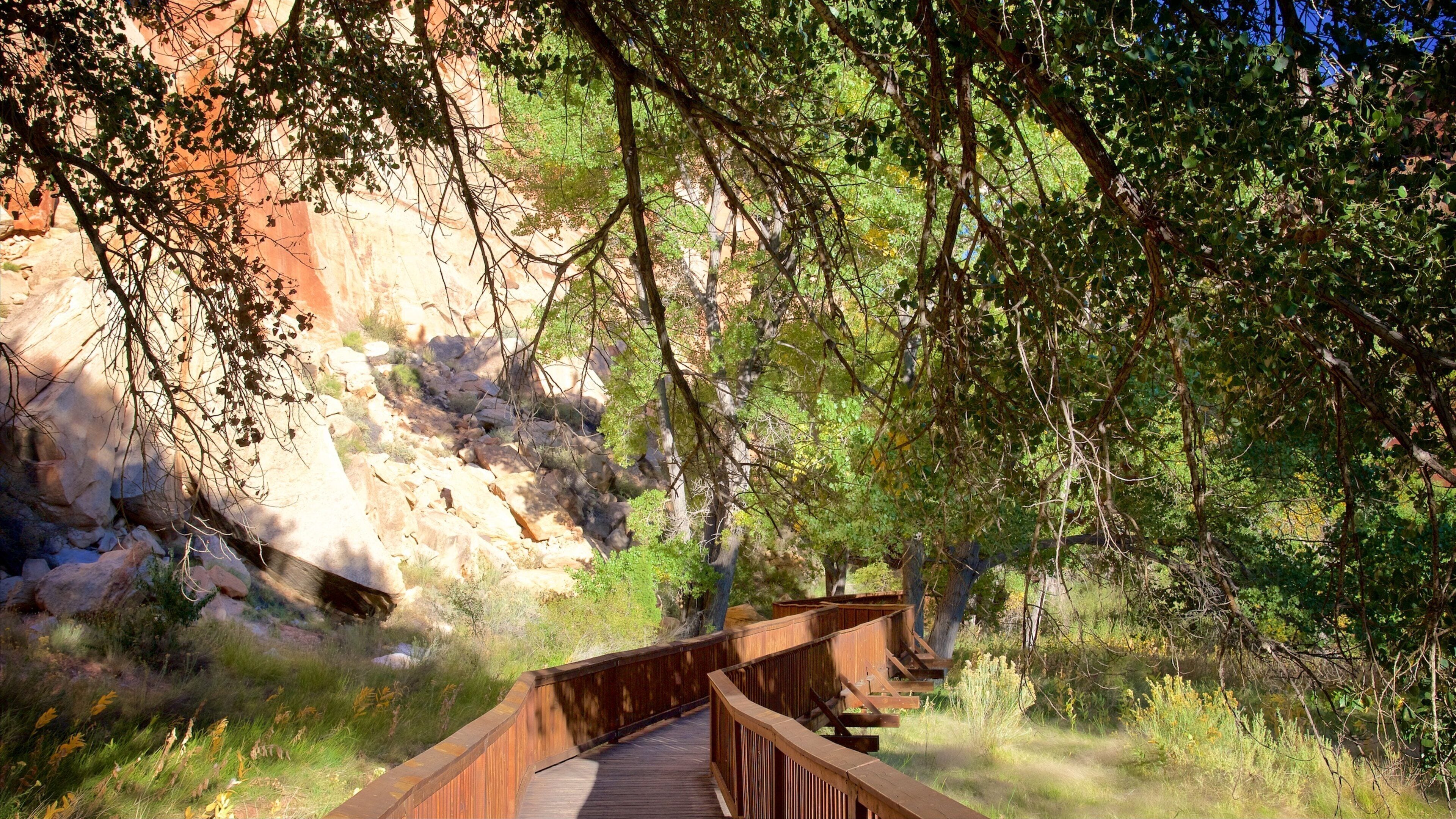 Torrey mostrando paesaggi rilassanti