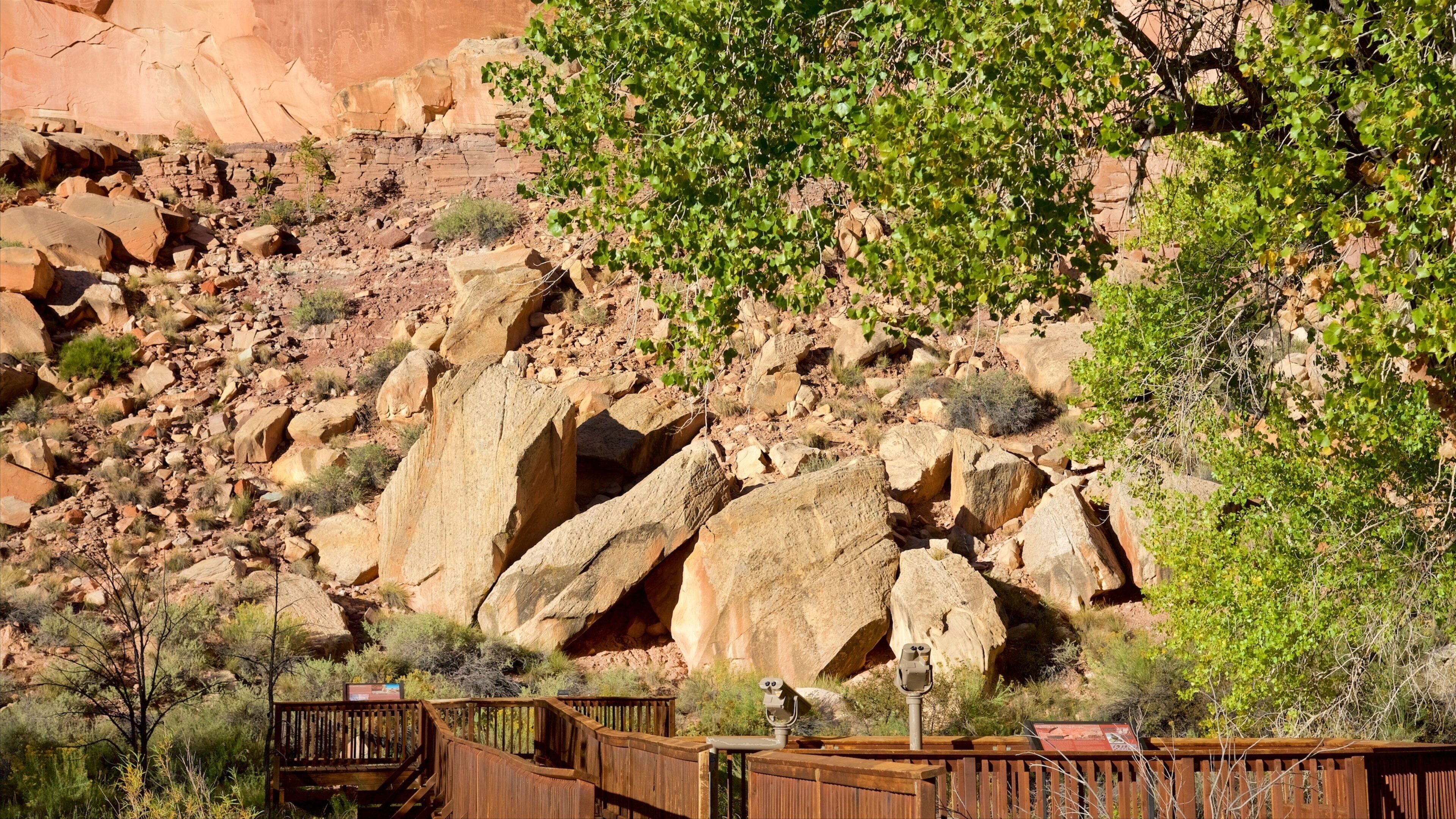 Torrey caratteristiche di vista e paesaggi rilassanti