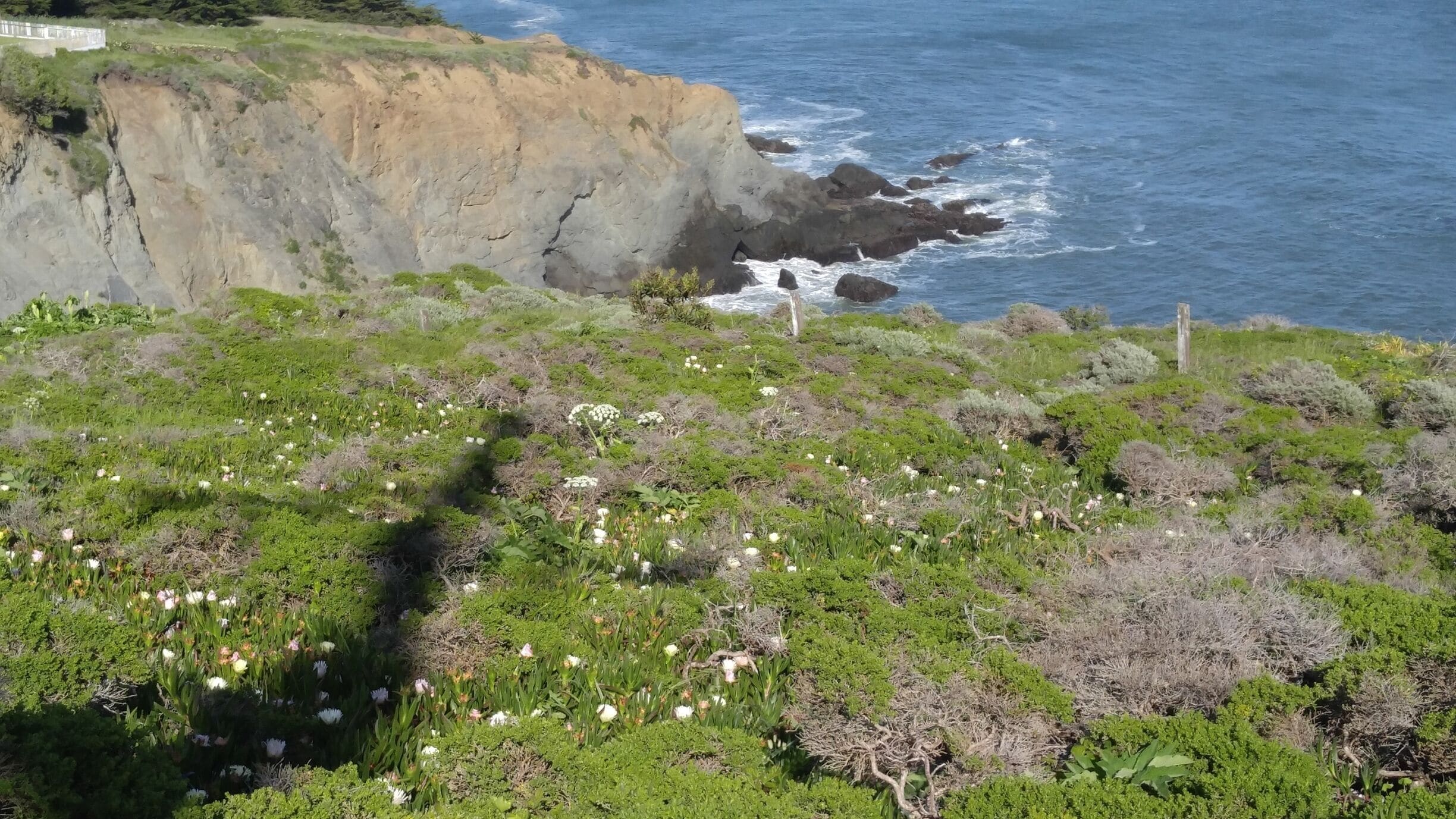 Located at the Golden Gate Recreation Area, Point Bonita Lighthouse it has breathtaking views🍃🌞🌼🌊