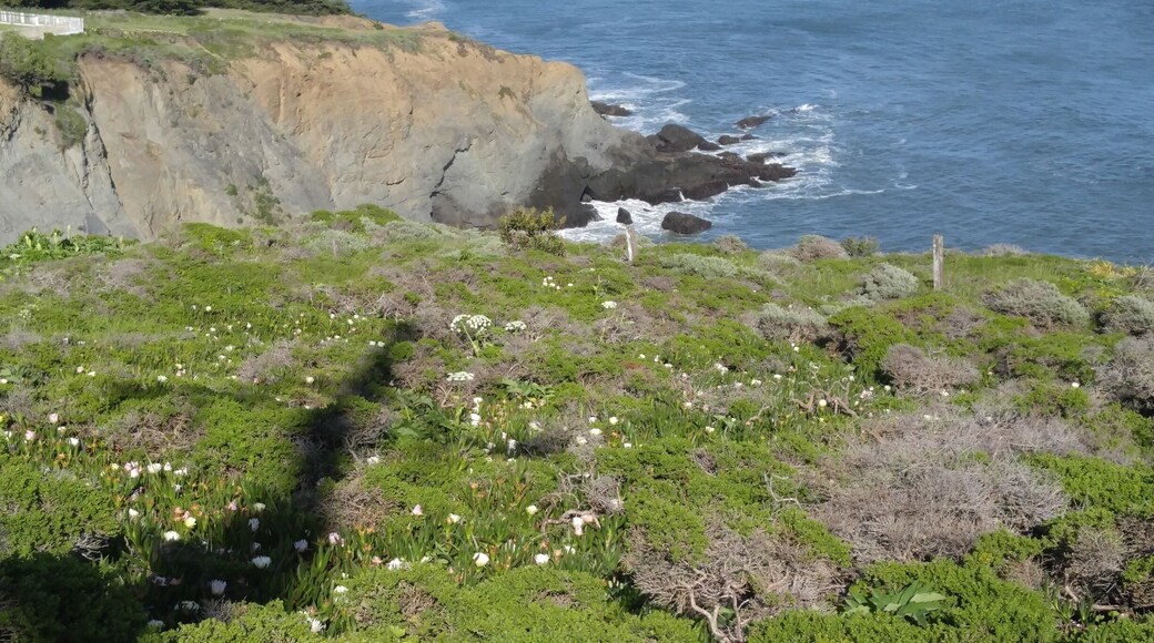 Located at the Golden Gate Recreation Area, Point Bonita Lighthouse it has breathtaking views🍃🌞🌼🌊