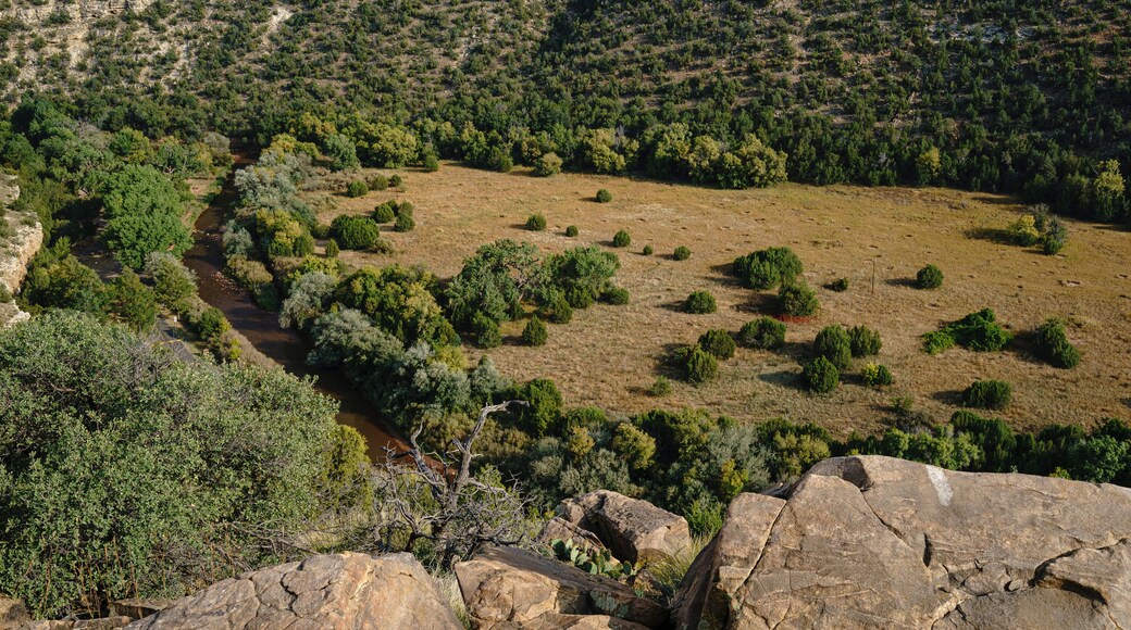 Công viên tiểu bang Villanueva