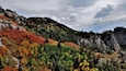 Autumn at the top of the Sandia Mountains in Albuquerque, NM is not to be missed if you happen to visit at just the right time. Hope you're not afraid of heights.
#CeliaLuzPhotography #autumn #Albuquerque #NewMexico #trees #landscape #nature #Hike #Sandias #fall #travel #places #seasons #BestHikesAroundtheWorld