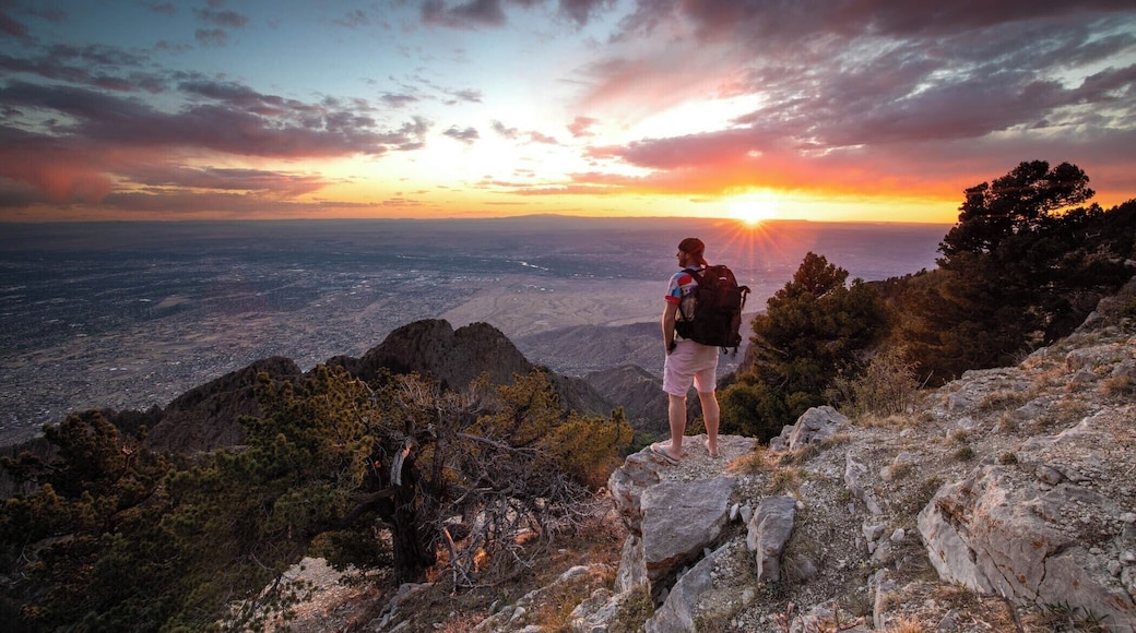 I did not expect this from this location. I drove to the top of Sandia crest and was met with just an epic sunset. Too good not to shoot!