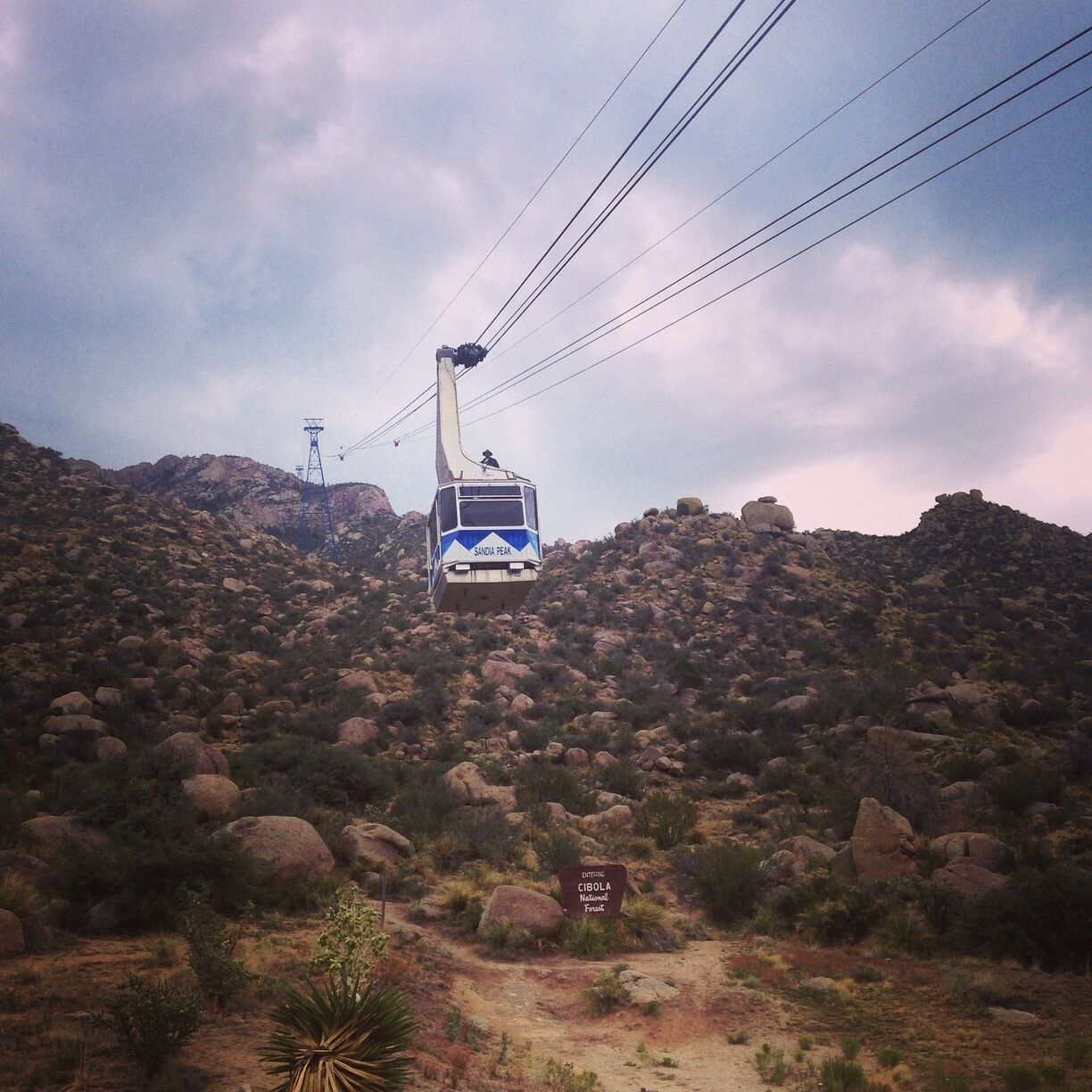 Wow! Even on a cloudy, rainy morning the view was stunning. $20 for an adult ticket, 15mins each way and spend as long as you like up top. Take a jacket, it's cool up there at 10,378 feet/ 3,163 metres.