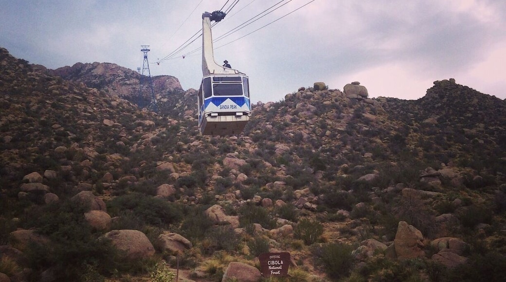 Wow! Even on a cloudy, rainy morning the view was stunning. $20 for an adult ticket, 15mins each way and spend as long as you like up top. Take a jacket, it's cool up there at 10,378 feet/ 3,163 metres.