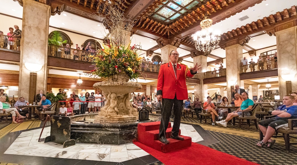 Peabody Ducks showing performance art as well as a large group of people