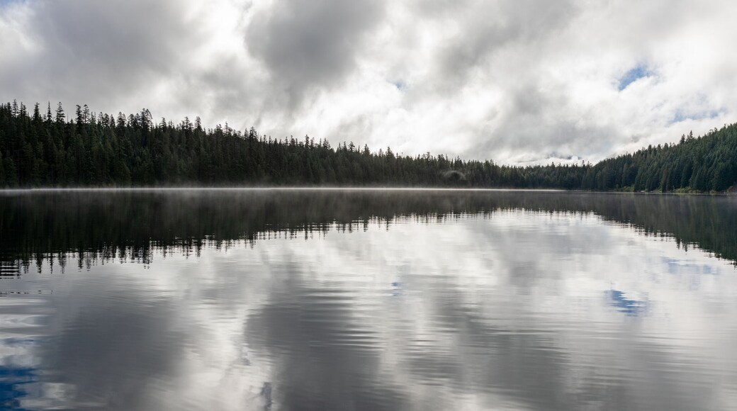 Beautiful misty fall weather, autumn vibes at Lost Lake in Oregon, near Hood River and Mount Hood, captured during early morning. Mystic fall vibes and scenery.