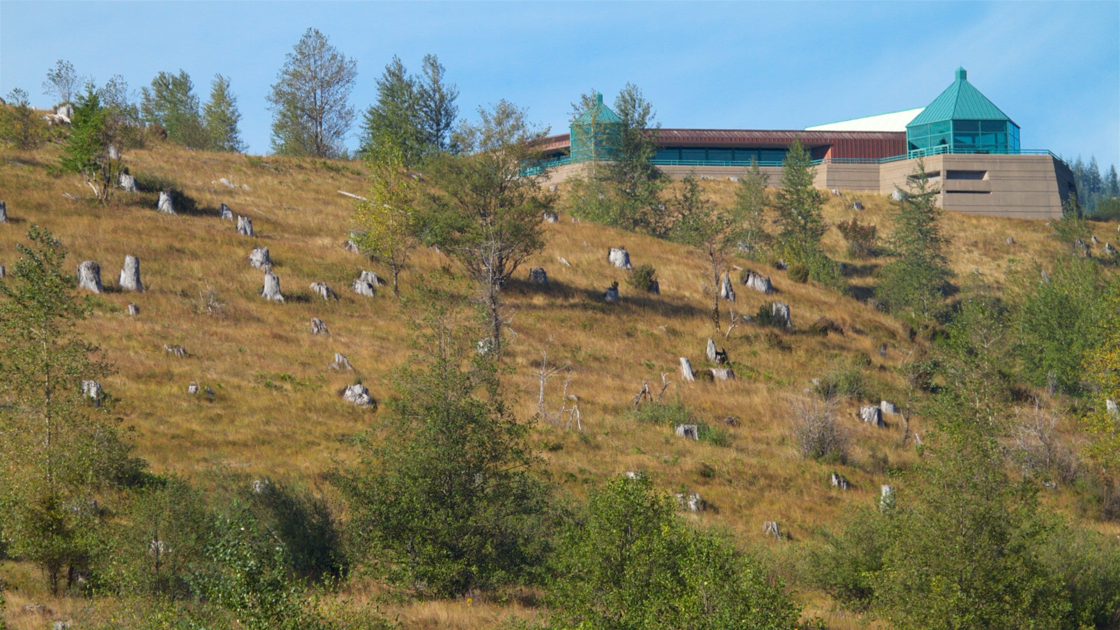 Coldwater Lake which includes an observatory and tranquil scenes