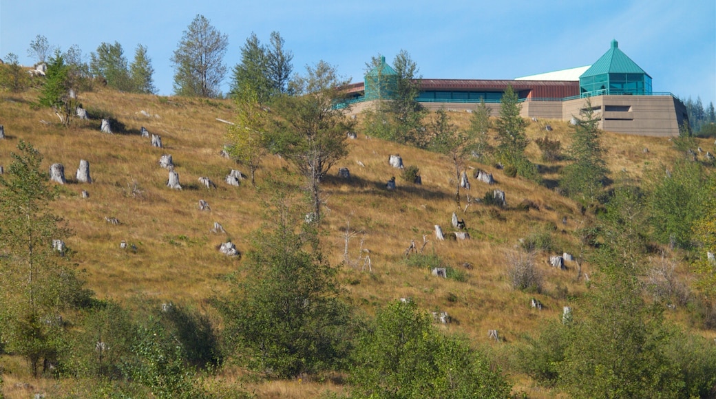 Coldwater Lake which includes an observatory and tranquil scenes