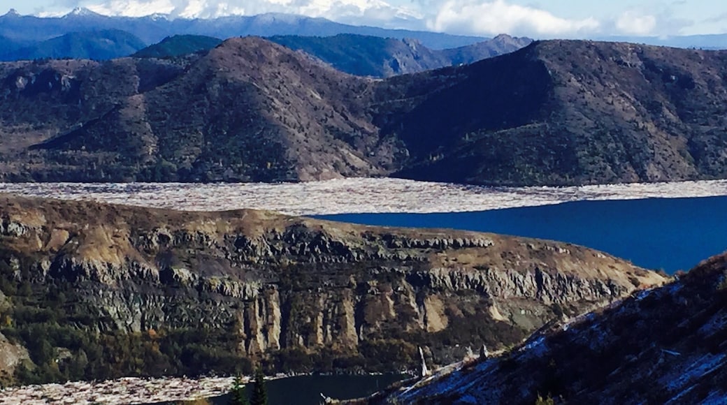 Perhaps the most breathtaking hikes I've ever done. The level trail wraps around the rim of the valley north of Mt St Helens. Add in clear sky, 40 degrees, and an old buddy to walk with.... Good day on planet Earth.