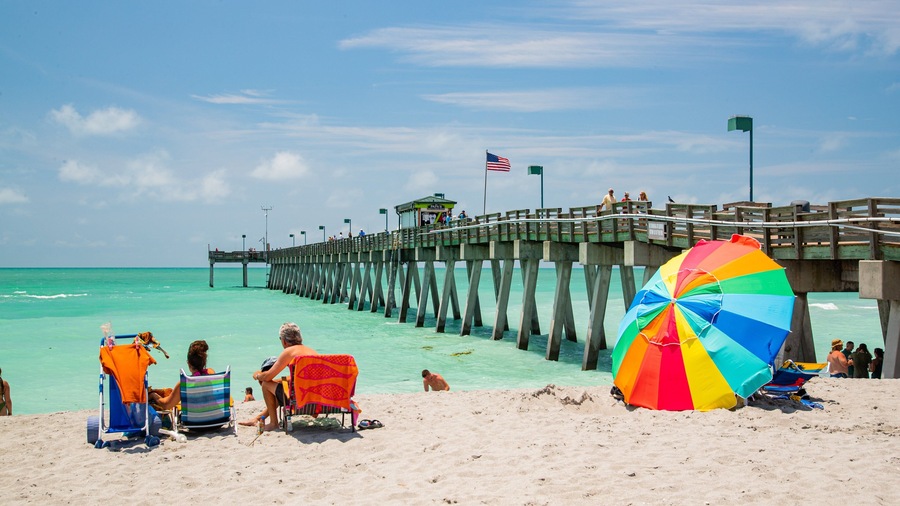 Venice Fishing Pier which includes a sandy beach and general coastal views as well as a couple