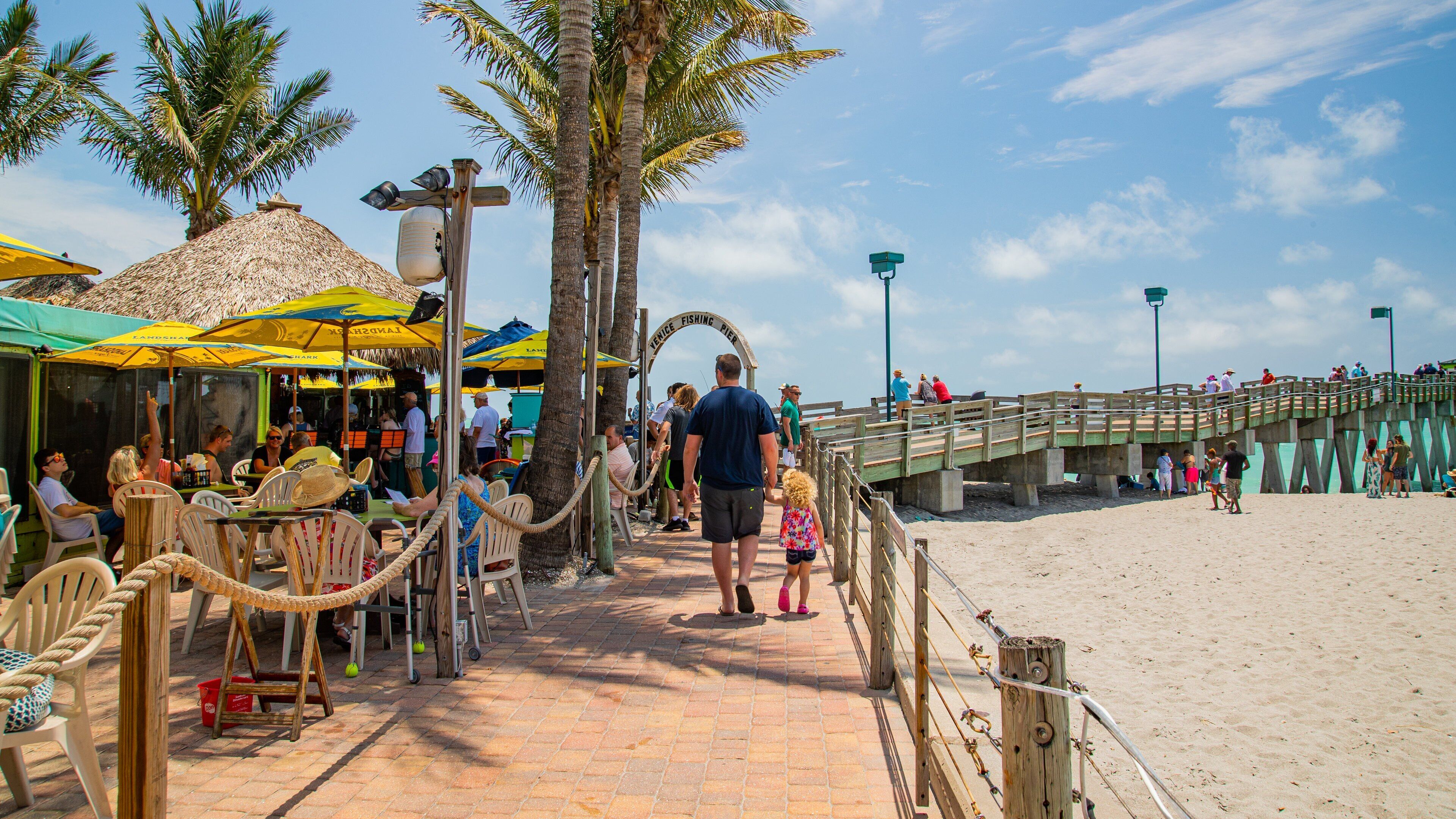 Venice Fishing Pier featuring a beach bar and a sandy beach as well as a family