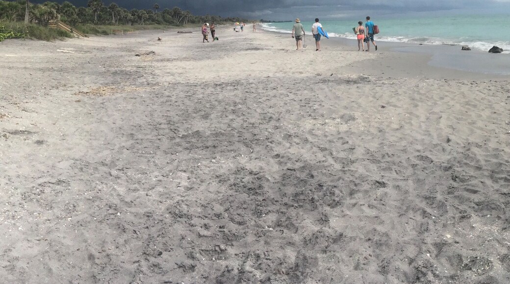 The calm before the storm.