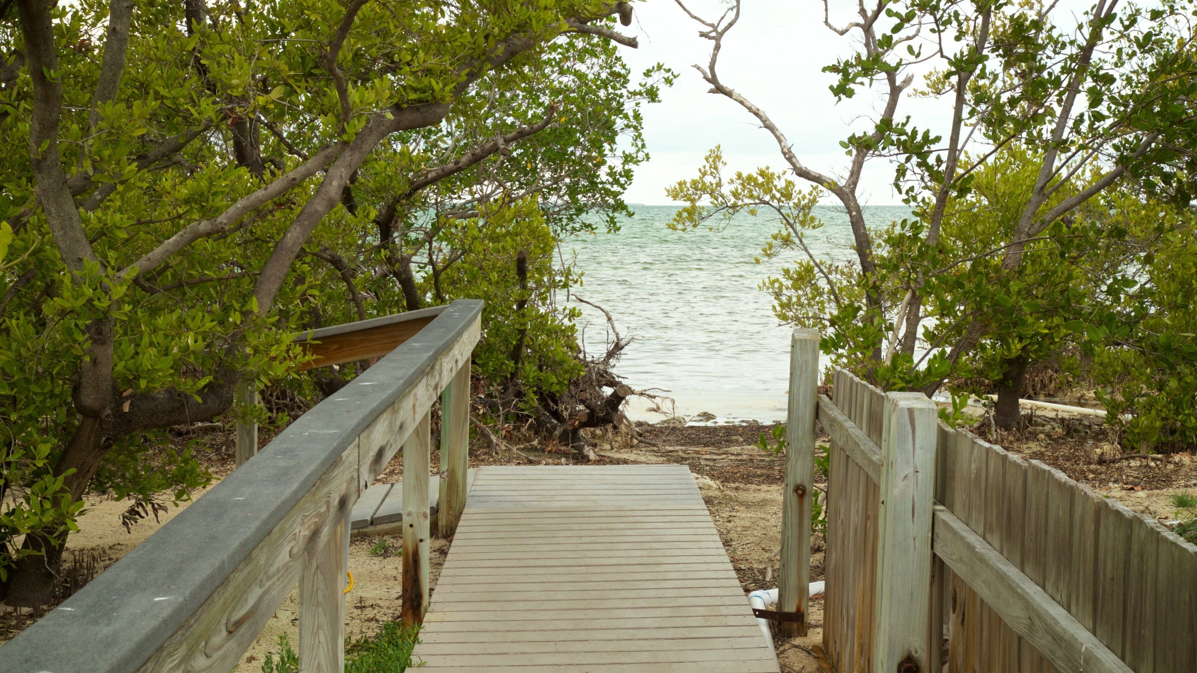 Florida Keys Wild Bird Rehabilitation Center