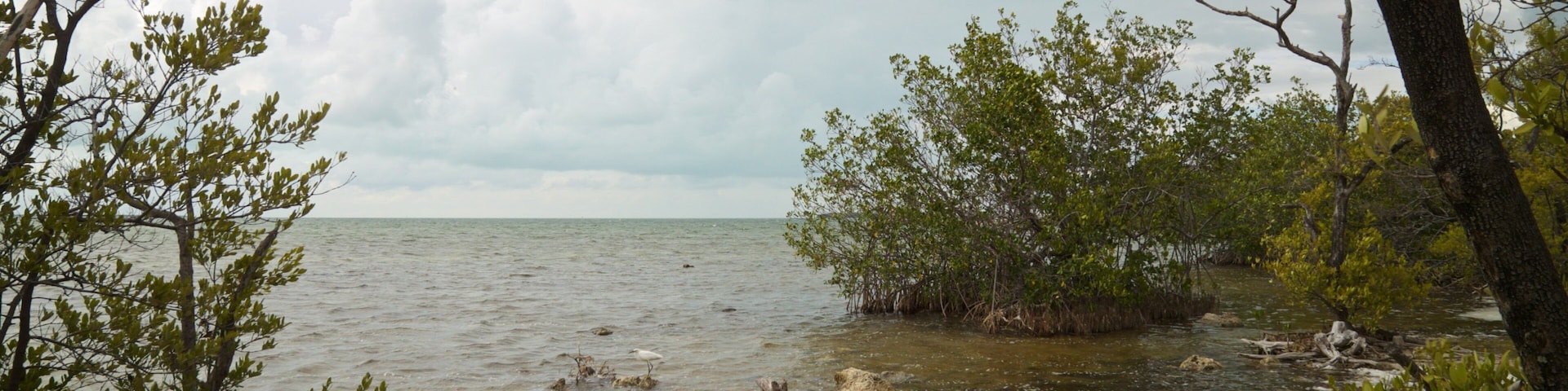 Florida Keys Wild Bird Rehabilitation Center
