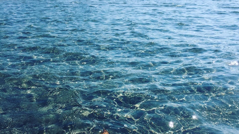 Blue Heron Bridge PalmBeach