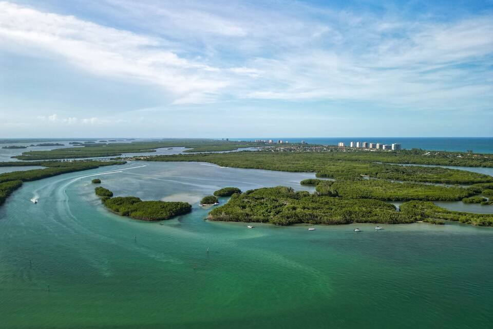 Paisaje costero con manglares, aguas transparentes y edificios a lo lejos.