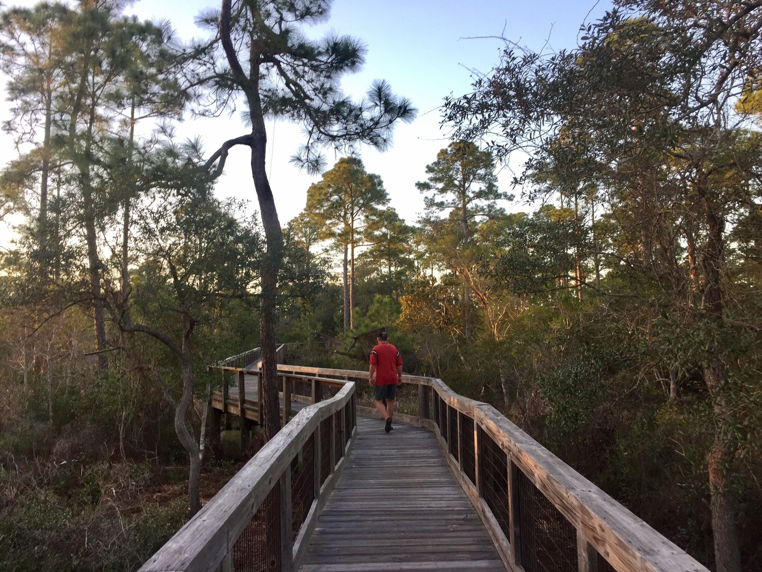 Miles of boardwalk trails at this beautiful state park. 