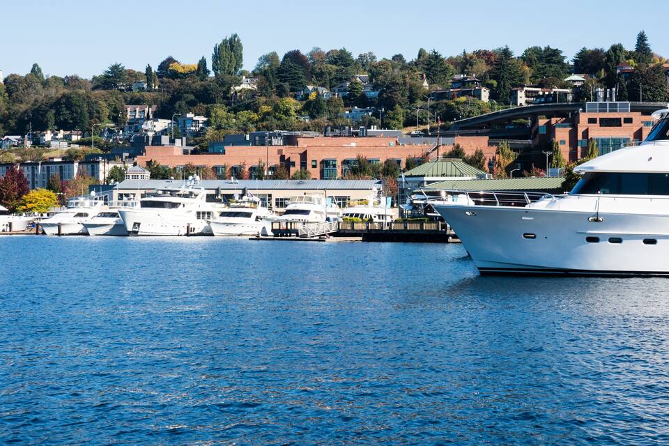 Un port de plaisance où sont amarrés plusieurs yachts, un pont et une colline parsemée de bâtiments et d’arbres.