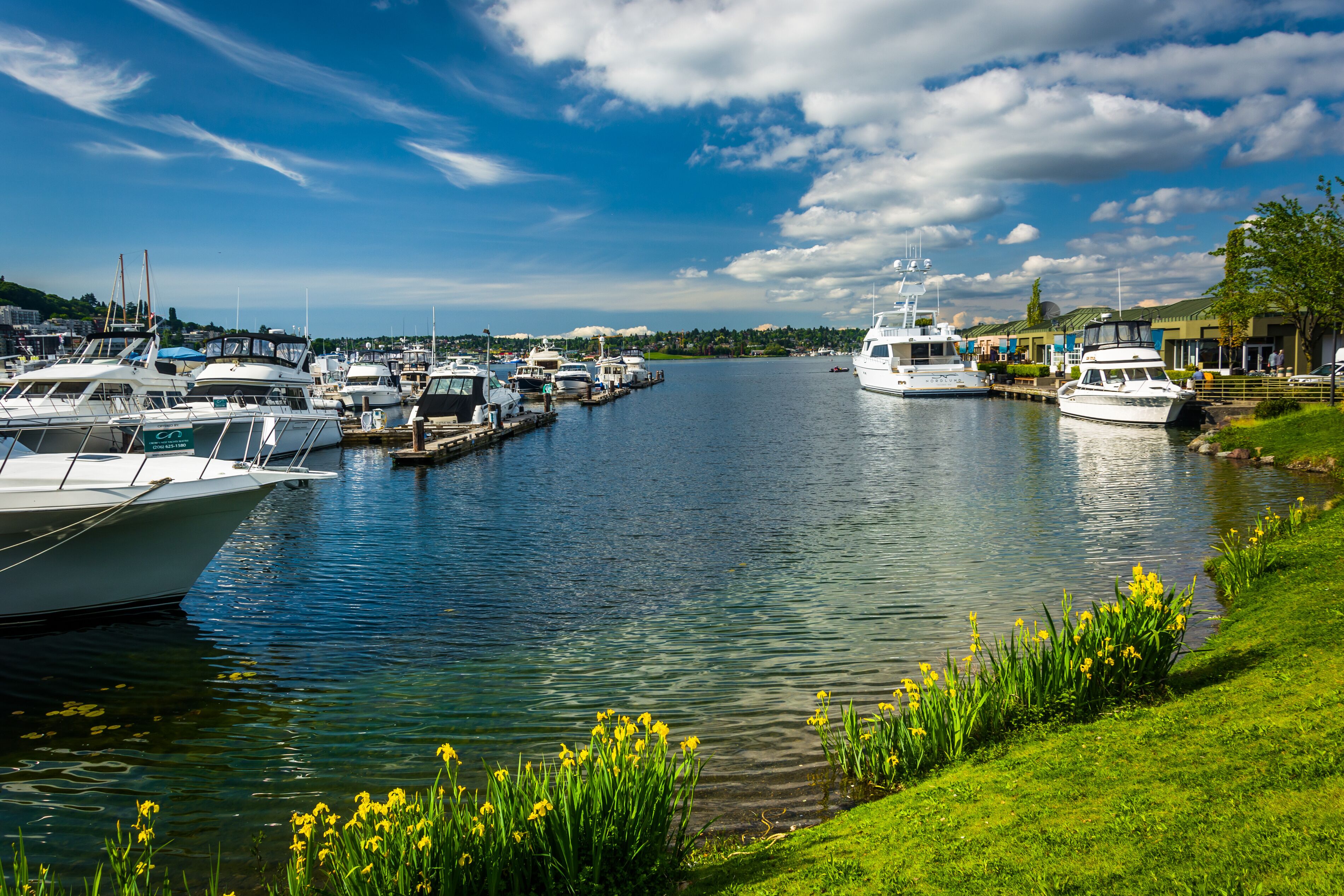 Flowers and boats in Lake Union, in Seattle, Washington.