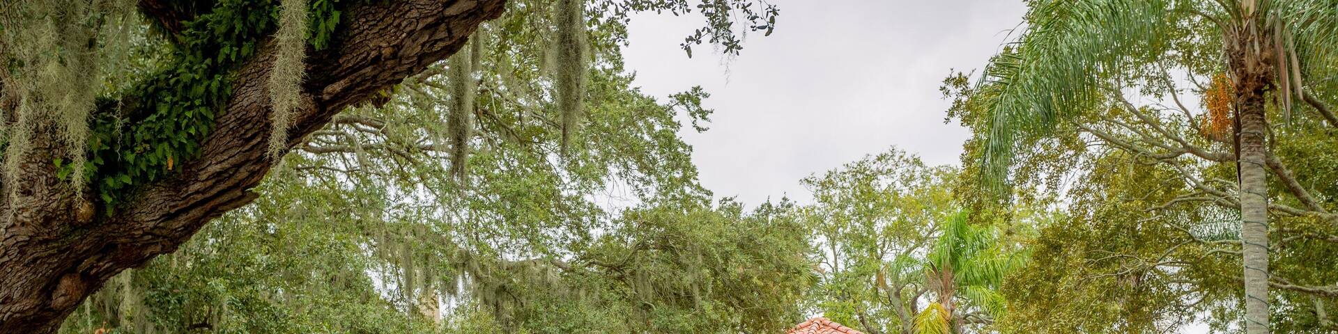 Plaza de la Constitution featuring a park